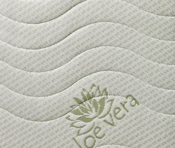 LEONTÝNA (Aloe vera Silver) 18 cm 