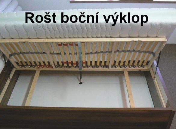 DITA 1 JEDNOLŮŽKO - buk, smrk, dub